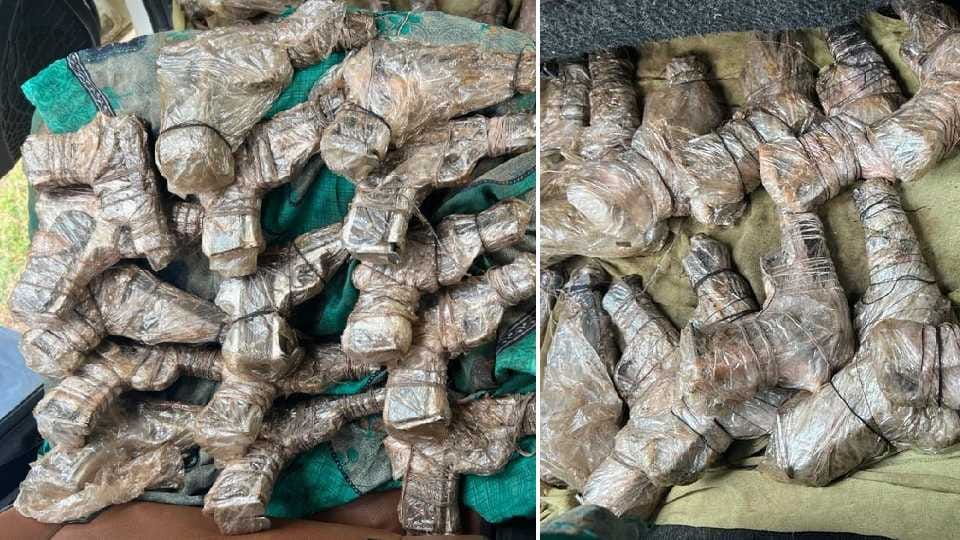 Punjab Police caught two people including 55 pistols from Madhya Pradesh