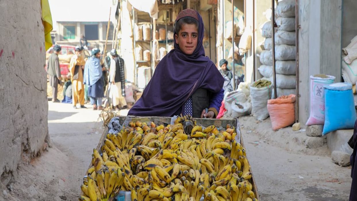 244 million kids are deprived of education, need for change in education system