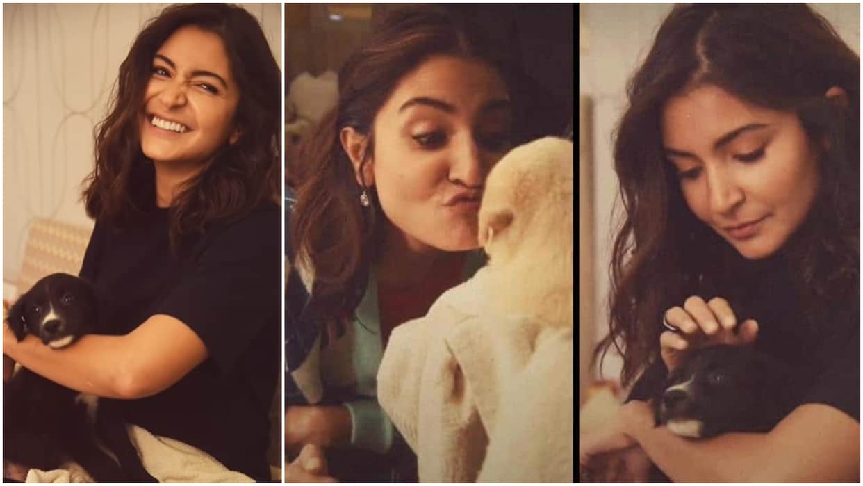 Chakda xpress Actress Anushka Sharma share cute video with puppies on social media