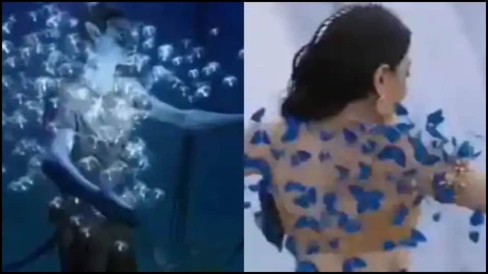 Ss rajamouli film Baahubali 36 scenes copied from Hollywood movies watch videos