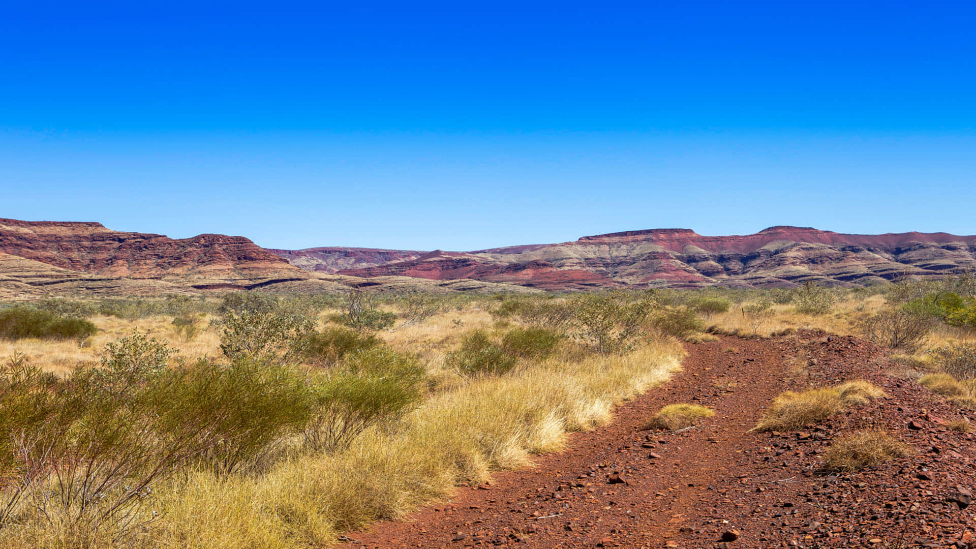 Dangerous Places Never Visit This Poison Town Know all Details in Hindi