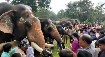 Elephant Festival concludes in Umaria Enjoy your favorite delicacies with massage
