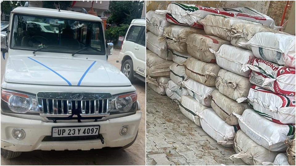 Police and STF arrested nine ganja smugglers in Mathura