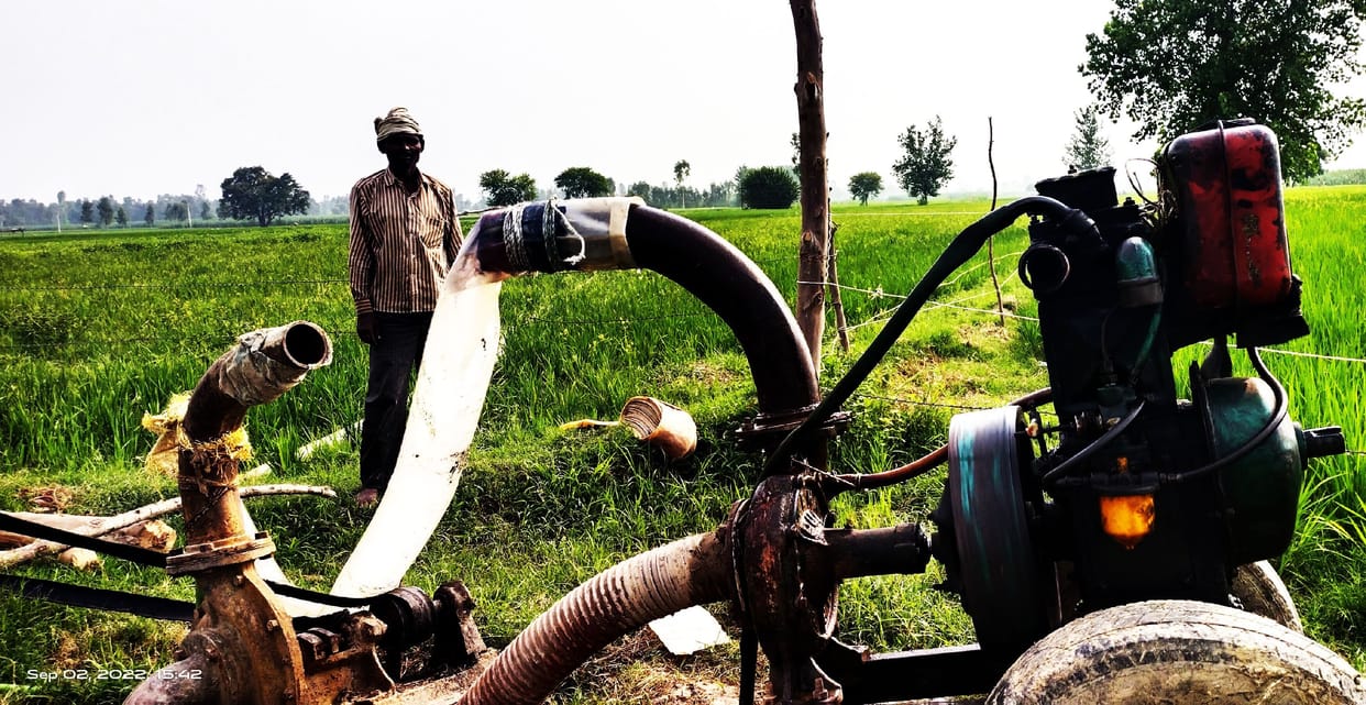 Monsoon disappointed... crops withered