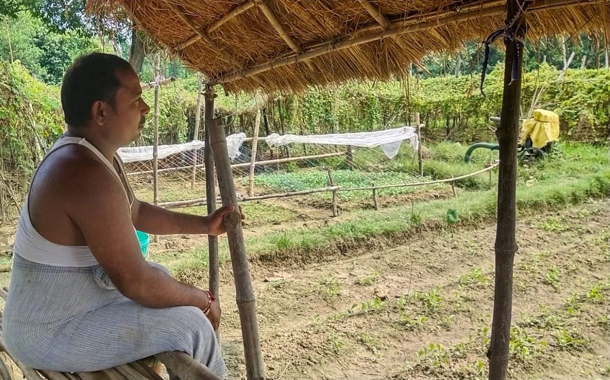 Farmers' lives insecure in the protection of crops