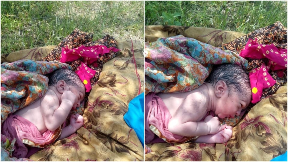 Newborn Baby Found Lying In Bushes Kota Sojat City