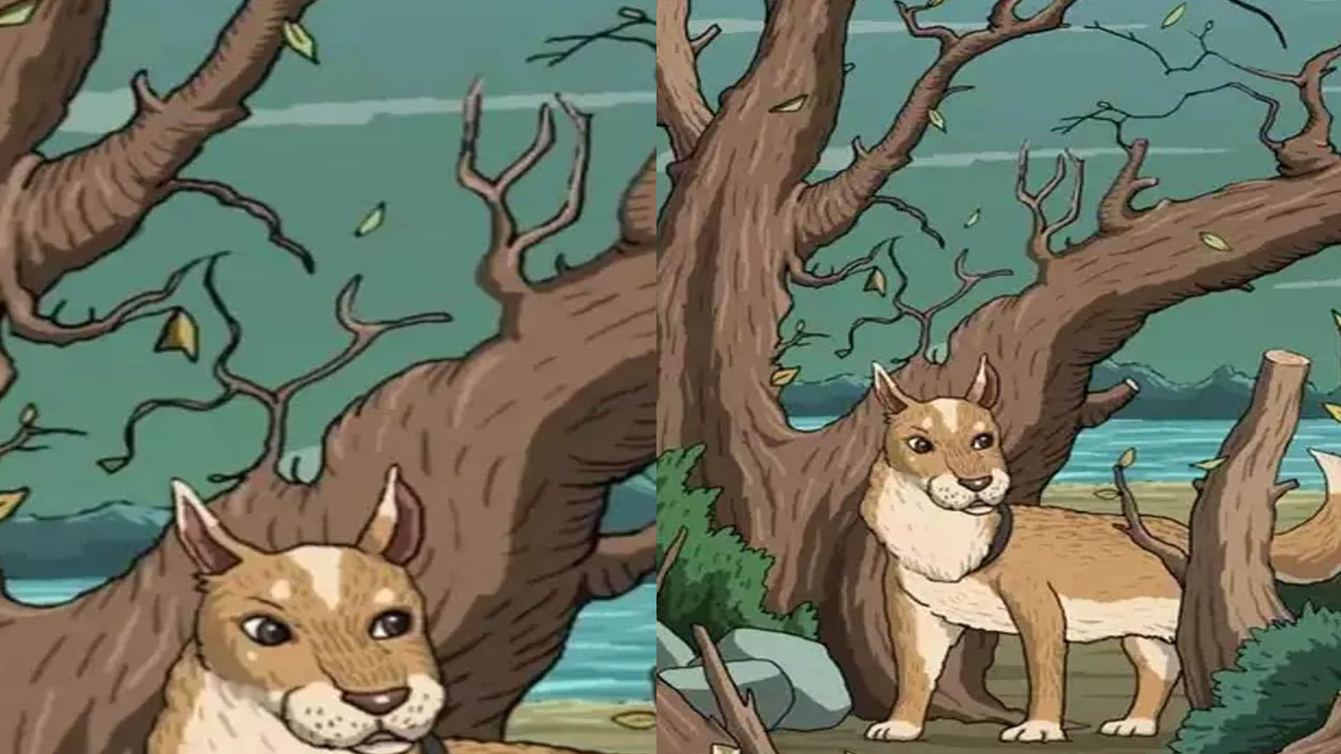 Optical Illusion Images for Brain IQ Test Find Out Hidden Cat from Viral Photo