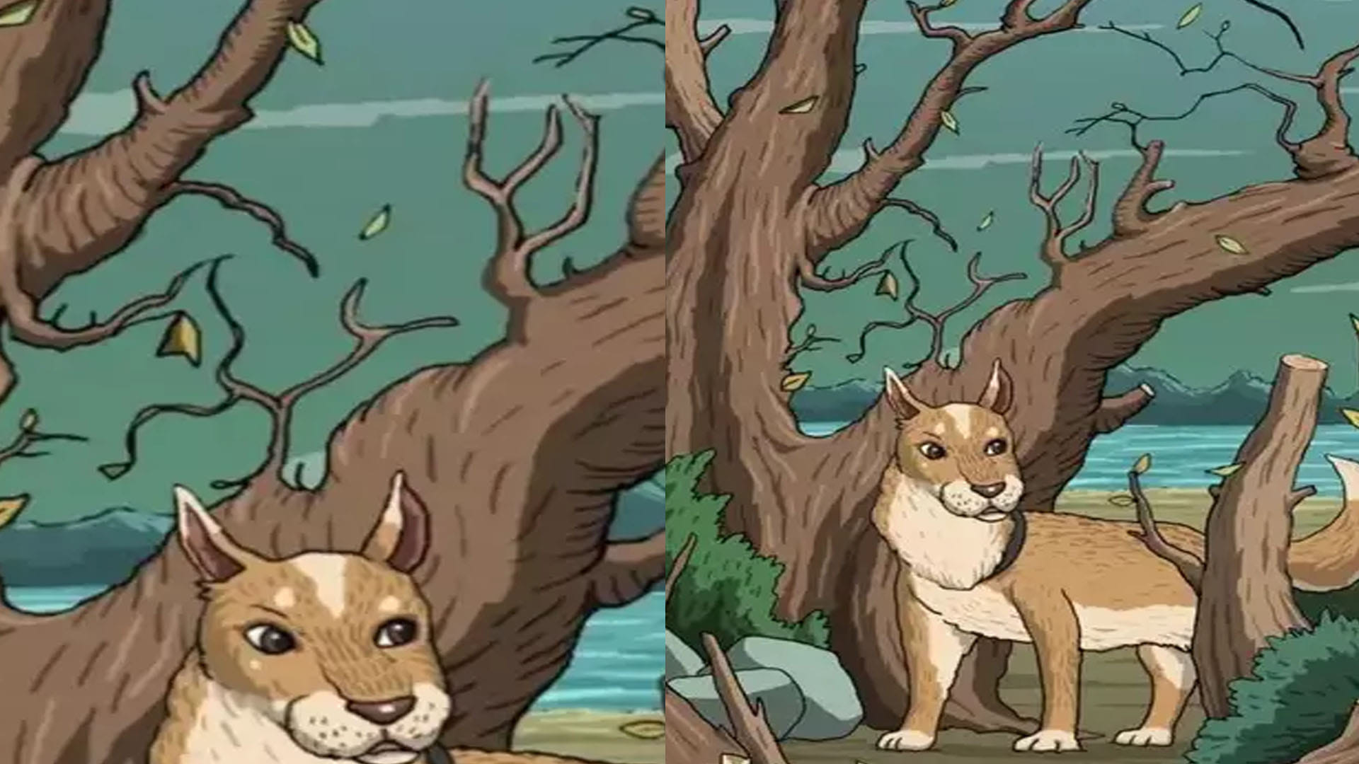 Optical Illusion Images for Brain IQ Test Find Out Hidden Cat from Viral Photo