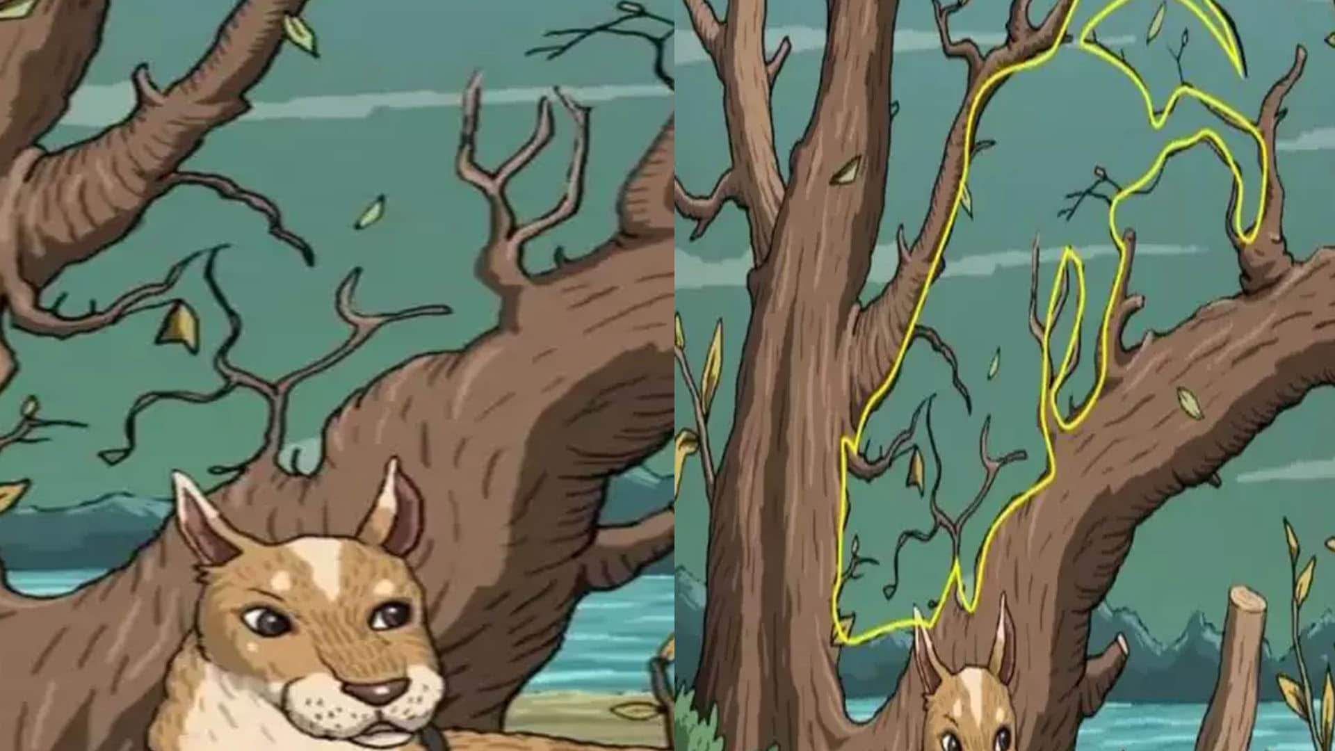 Optical Illusion Images for Brain IQ Test Find Out Hidden Cat from Viral Photo