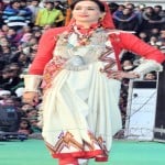 हिमाचल के हुनरमंद हाथों की पूरी दुनिया दीवानी