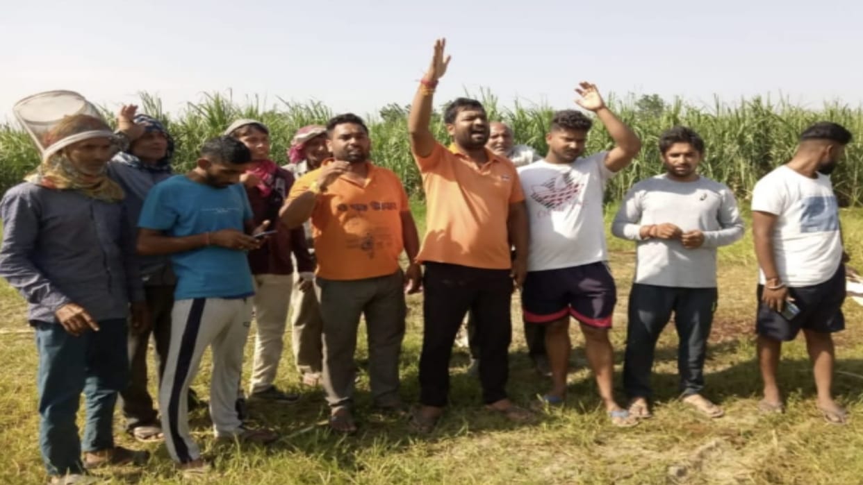 in meerut : for remain a dozen govansh, the villagers  get angry