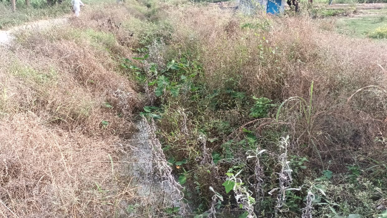Three four day old dead body of woman found in bushes in varanasi