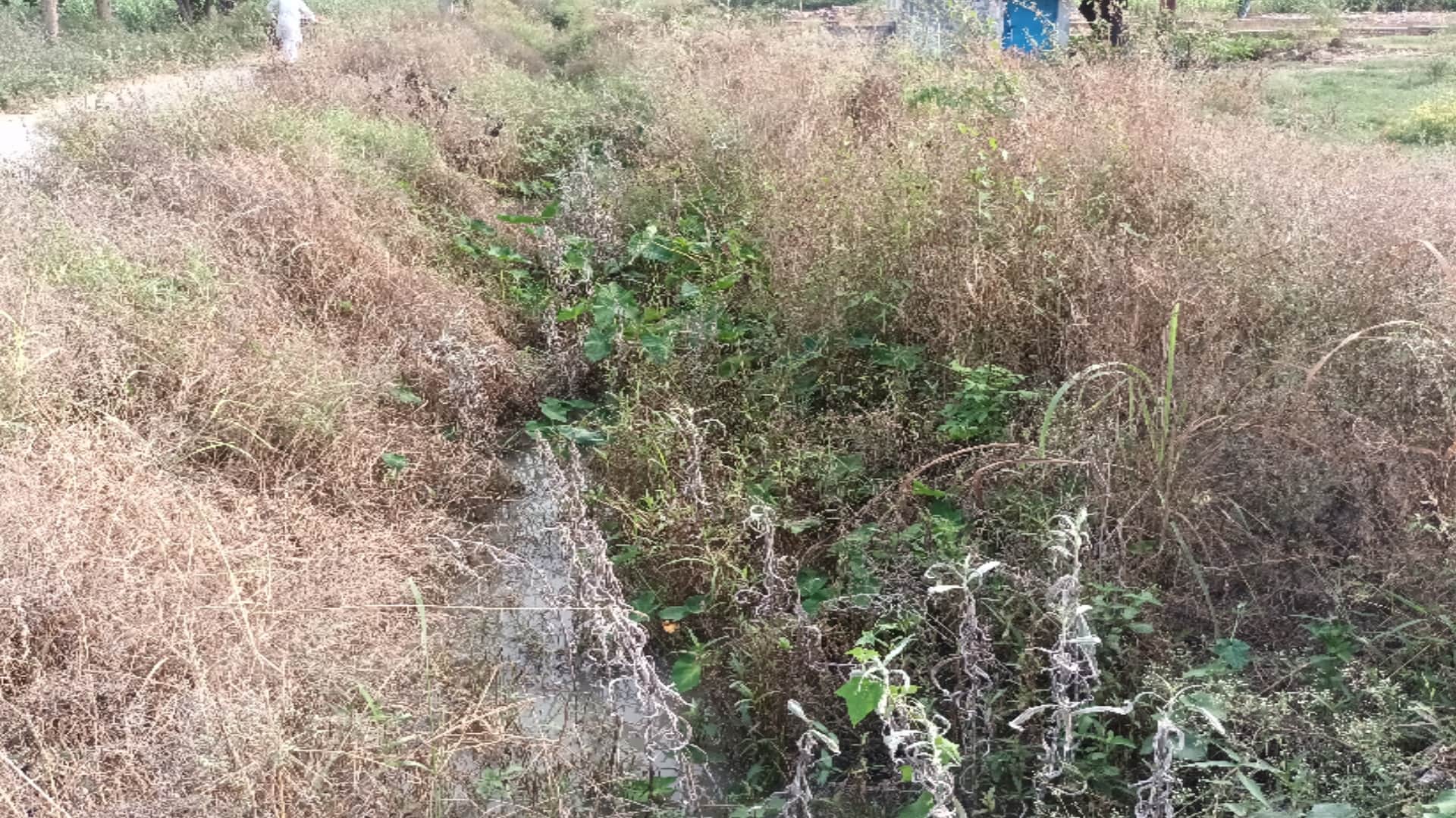 Baghpat Police sweats to find martyrs wife, drone fails, divers and dog squad are in search