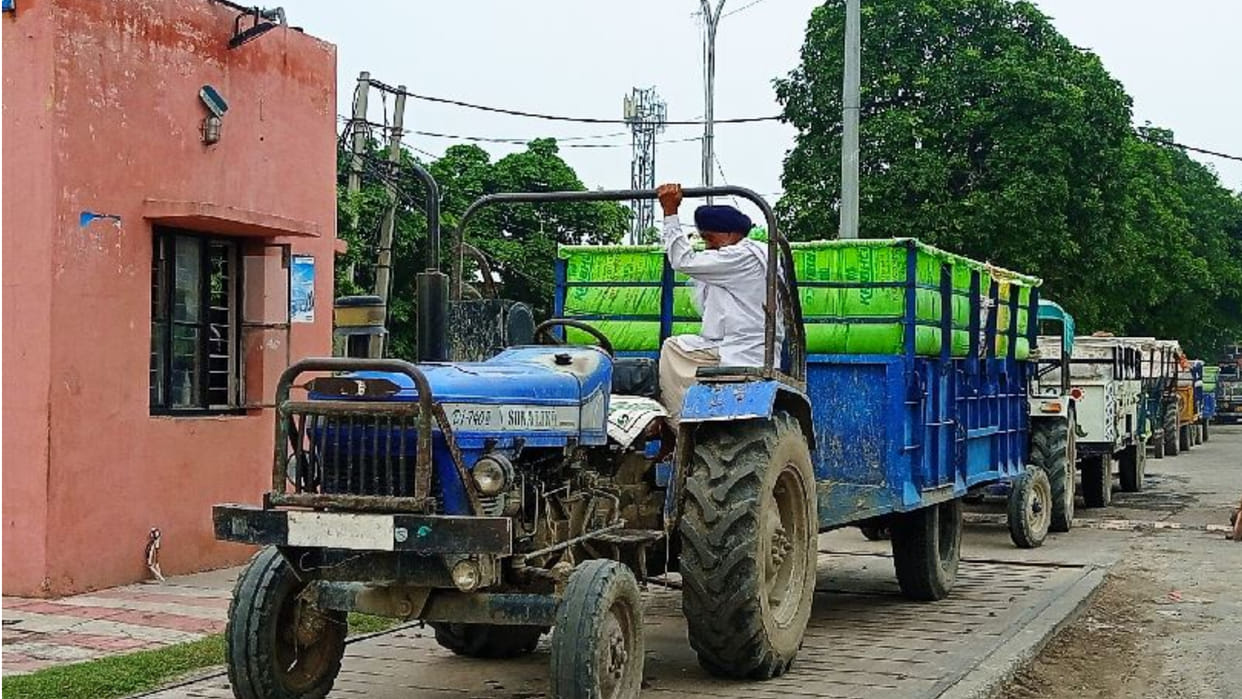 Paddy started coming in the mandis of Haryana, farmers are getting good price
