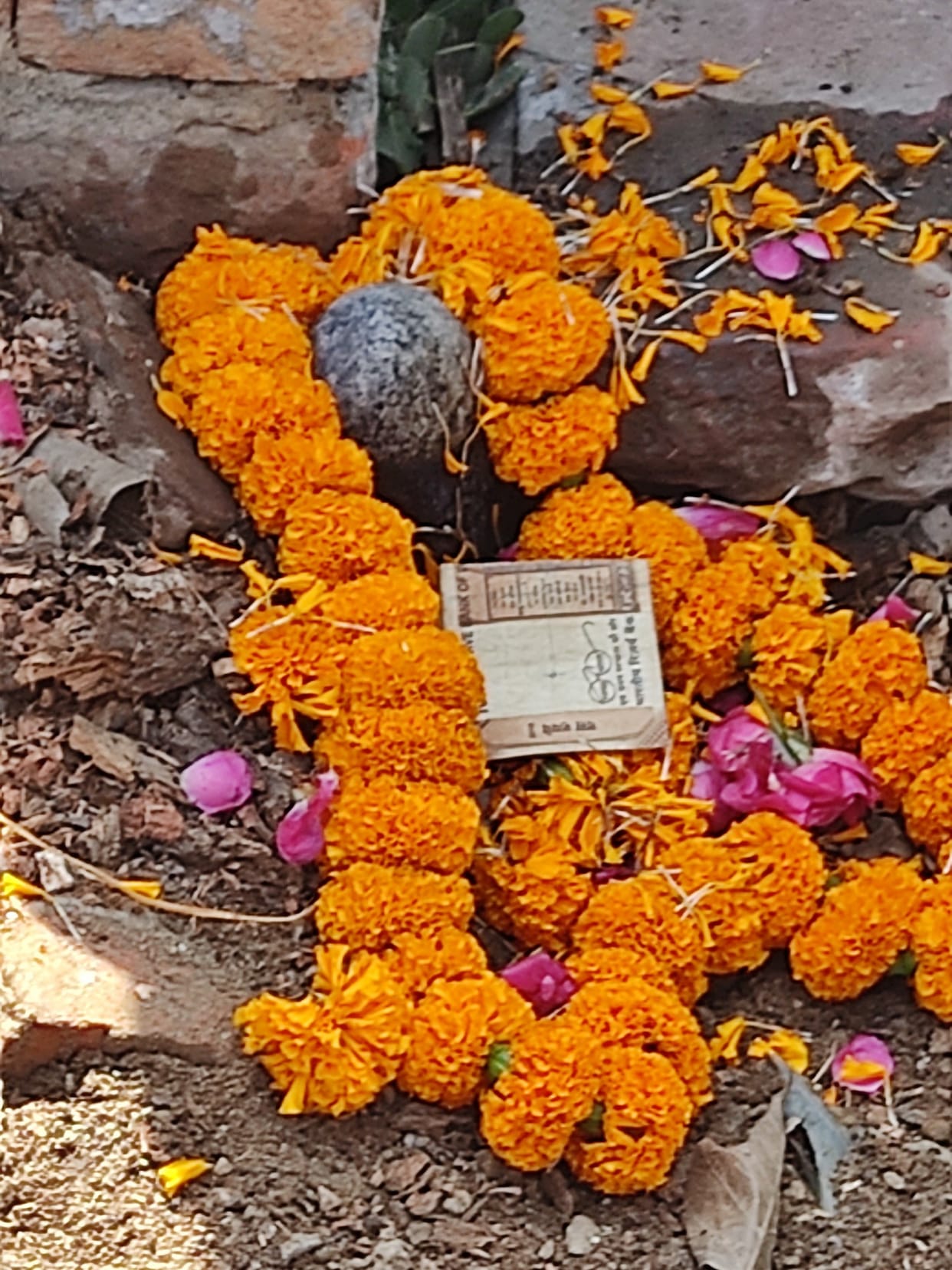 Where the tree was cut, the Shivling came out there