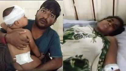 Mother Clashed With Tiger To Save Son in umaria Madhya Pradesh