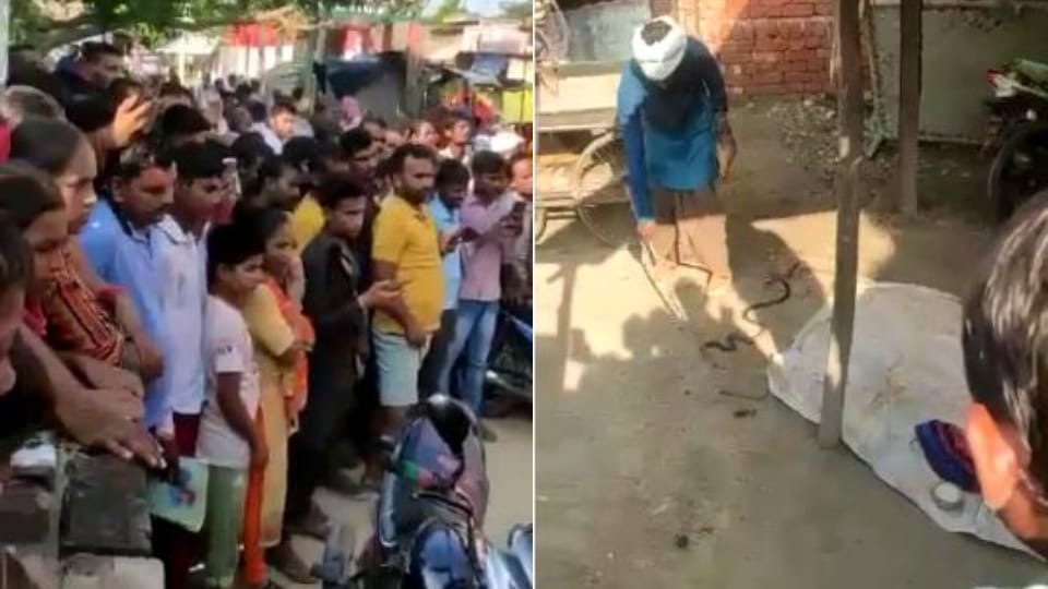 Nagin bites two brothers sleeping in the room in Mainpuri