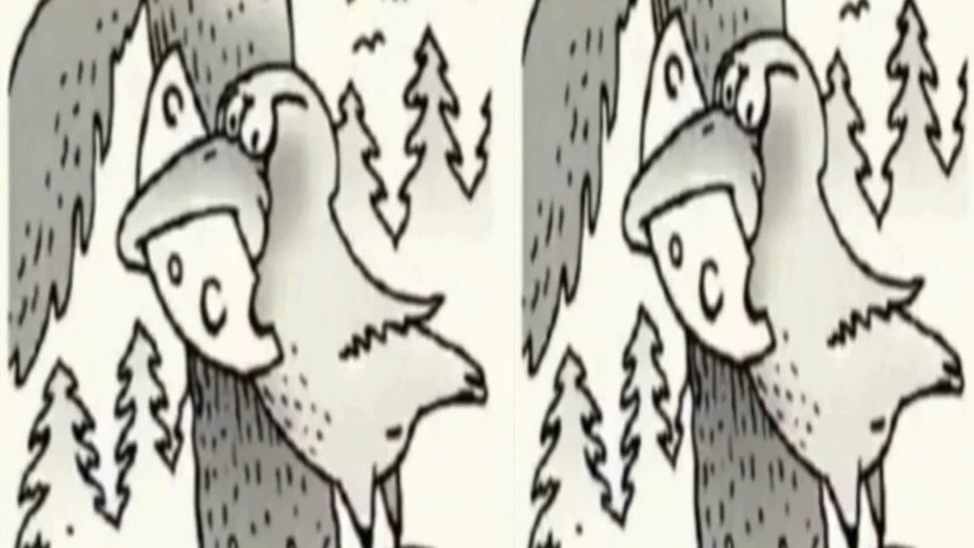 Optical Illusion Images for Brain IQ Test Find Out Hidden Fox in Viral Photo