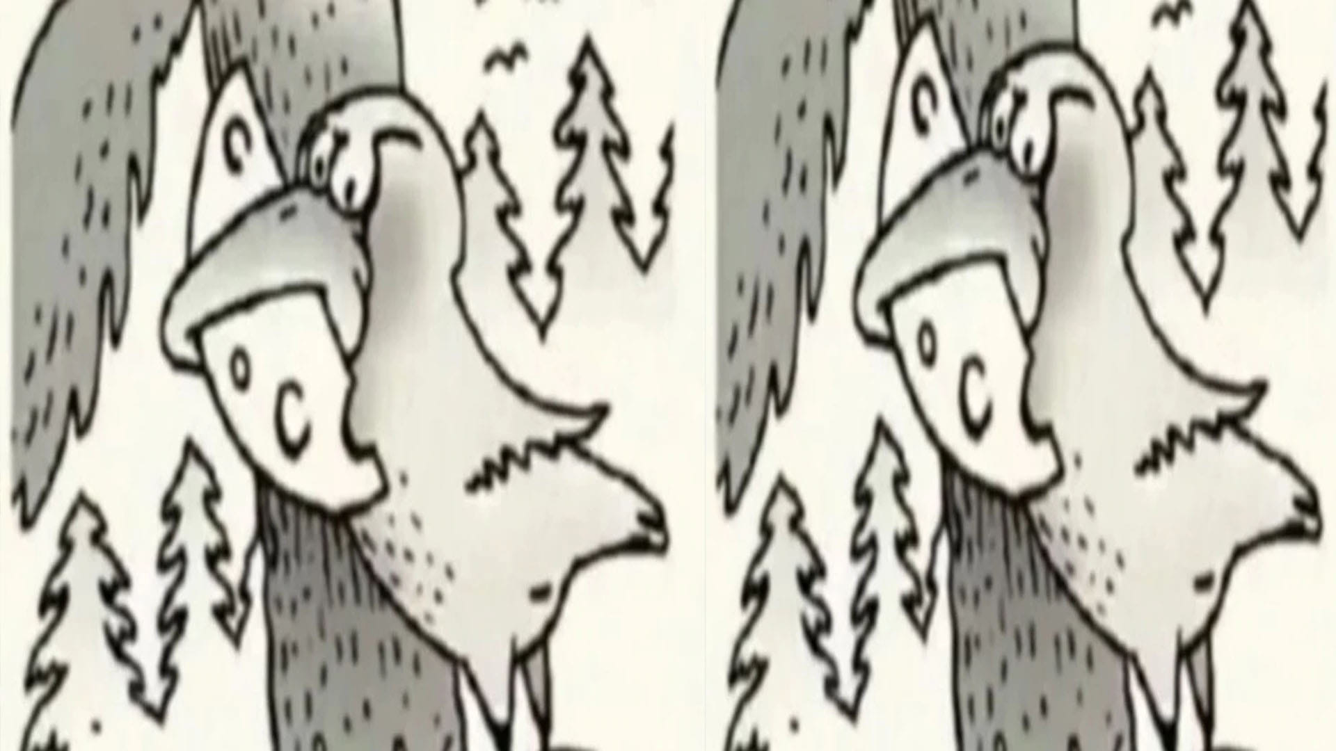 Optical Illusion Images for Brain IQ Test Find Out Hidden Fox in Viral Photo