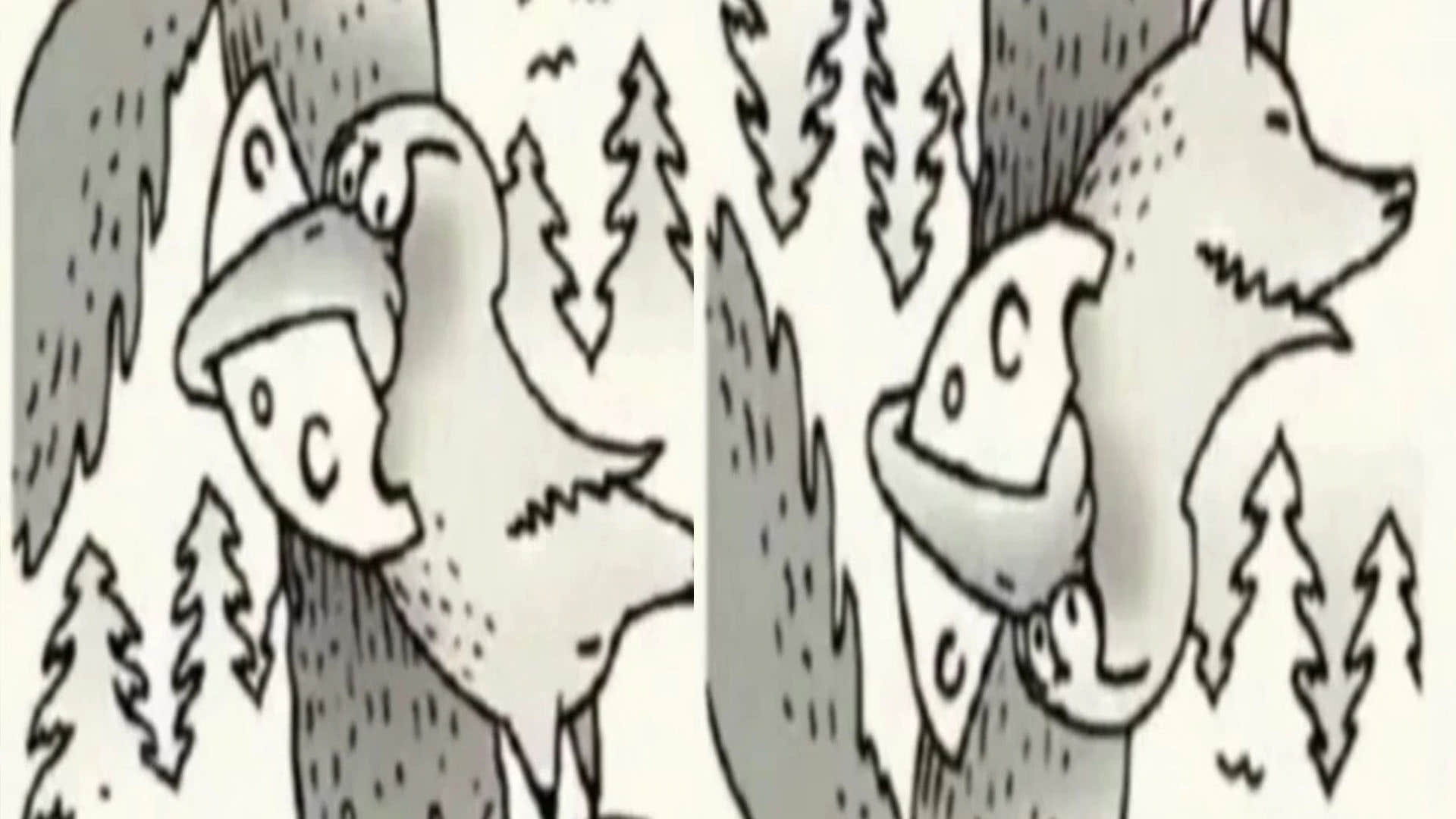 Optical Illusion Images for Brain IQ Test Find Out Hidden Fox in Viral Photo