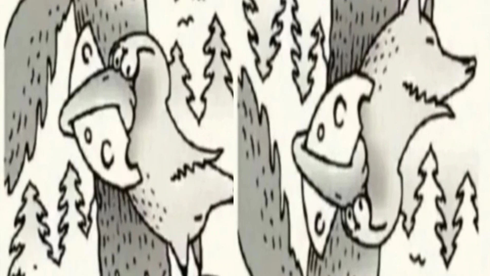 Optical Illusion Images for Brain IQ Test Find Out Hidden Fox in Viral Photo