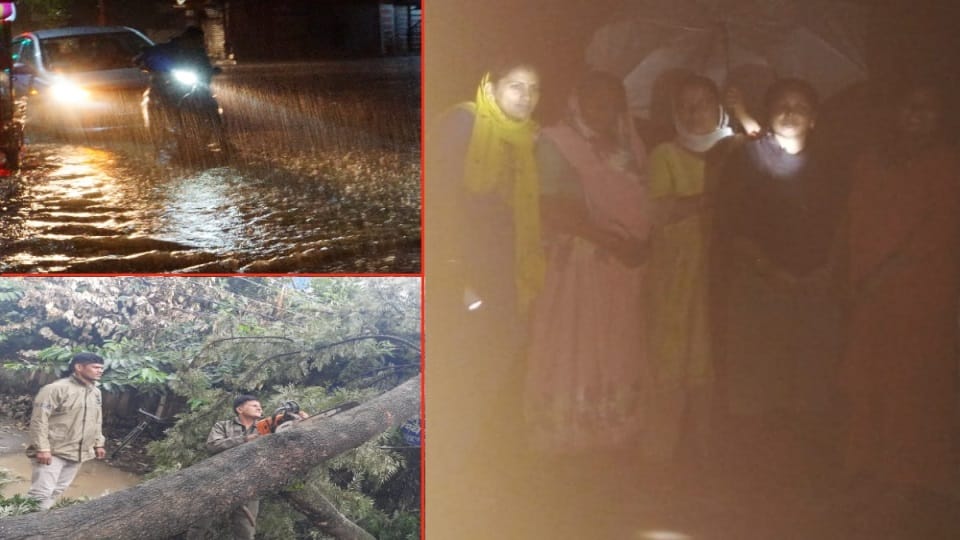 Dehradun Weather Update: Very Heavy rainfall create waterlogging problems photos