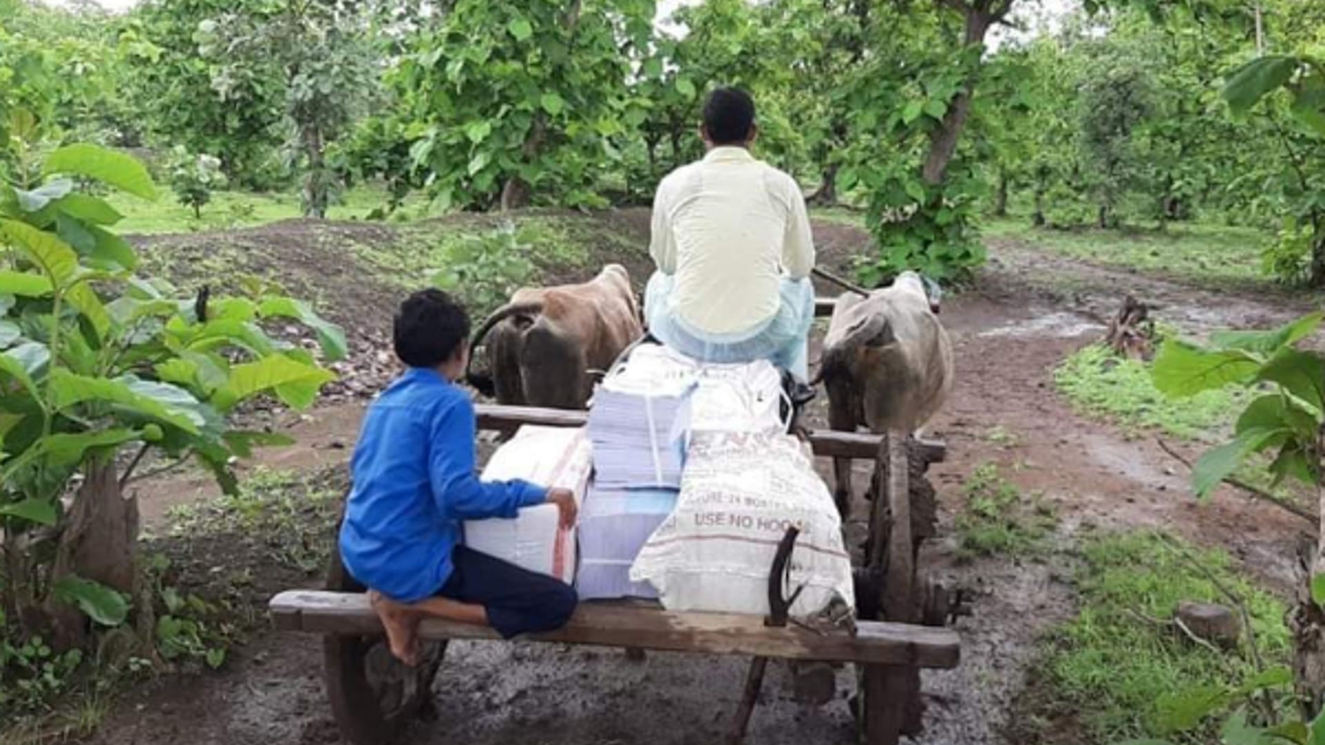 Teachers Day 2022: Two MP teachers who changed the picture of the village with education,
