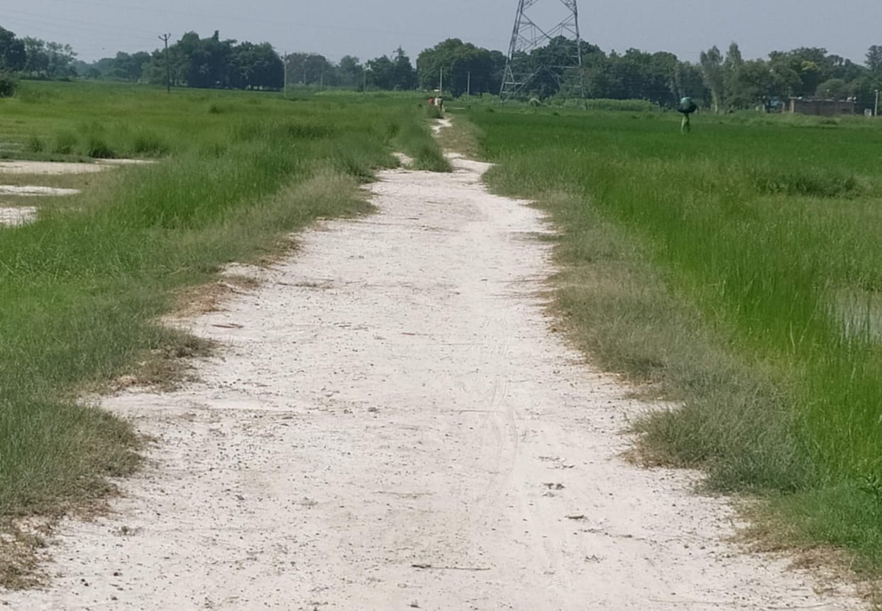 Rural engineering roads hanging due to lack of budget