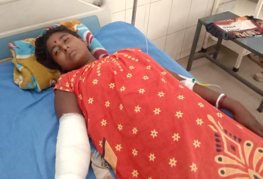 The crocodile attacked the woman, the incident of the village Nagaria Colony of Amaria