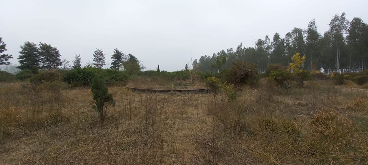The department forgot the park after the inauguration, Ambala