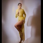 VIDEO : Malaika arora latest look in thigh high slit yellow revealing dress