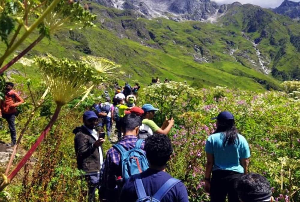 Chamoli Valley of flowers closed Today for tourists record tourists came Uttarakhand news in hindi