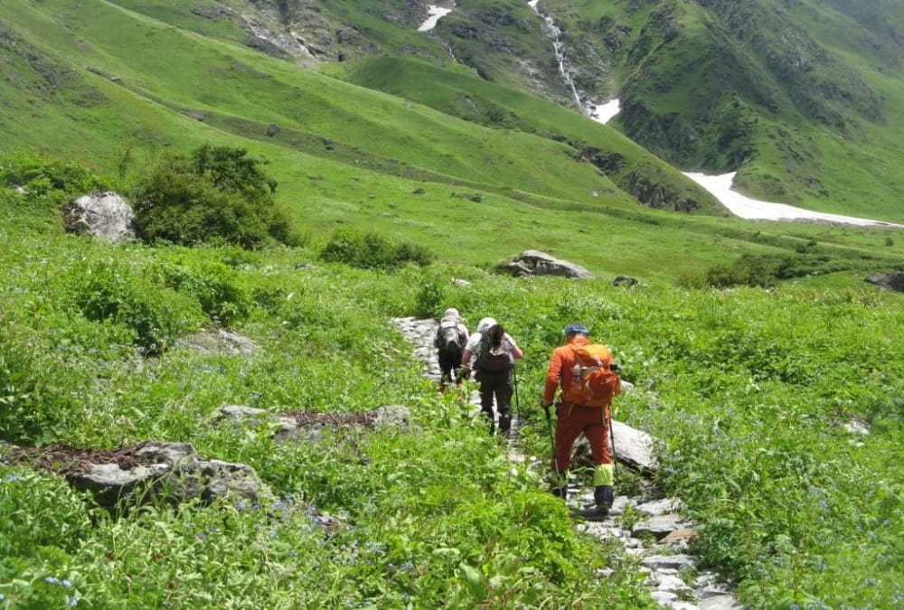 Uttarakhand News: Valley of Flowers Closed for three days for tourist Movement