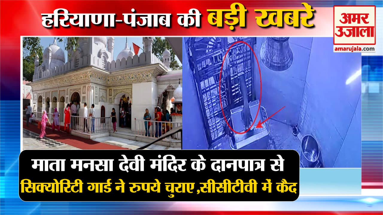 हरियाणा न्यूज