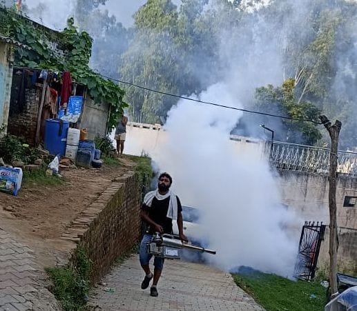 Proper steps to prevent dengue