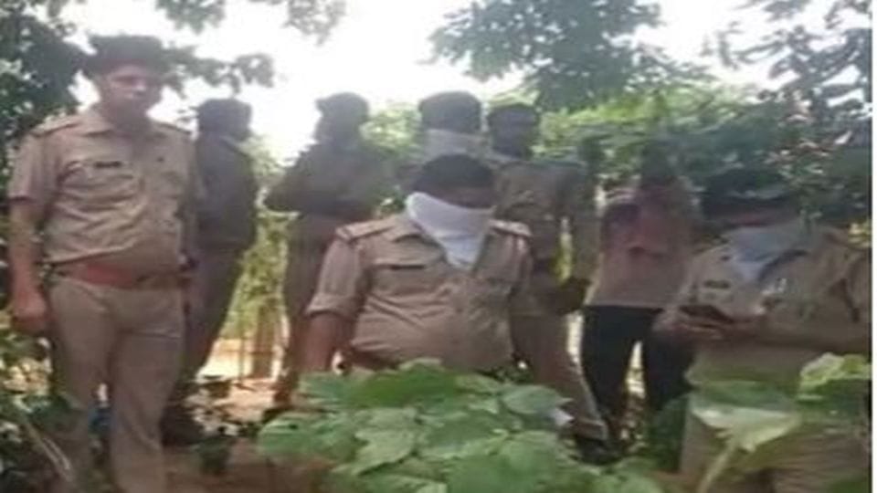 villagers vandalized the hut of woman naga sadhu over man murder case in mathura