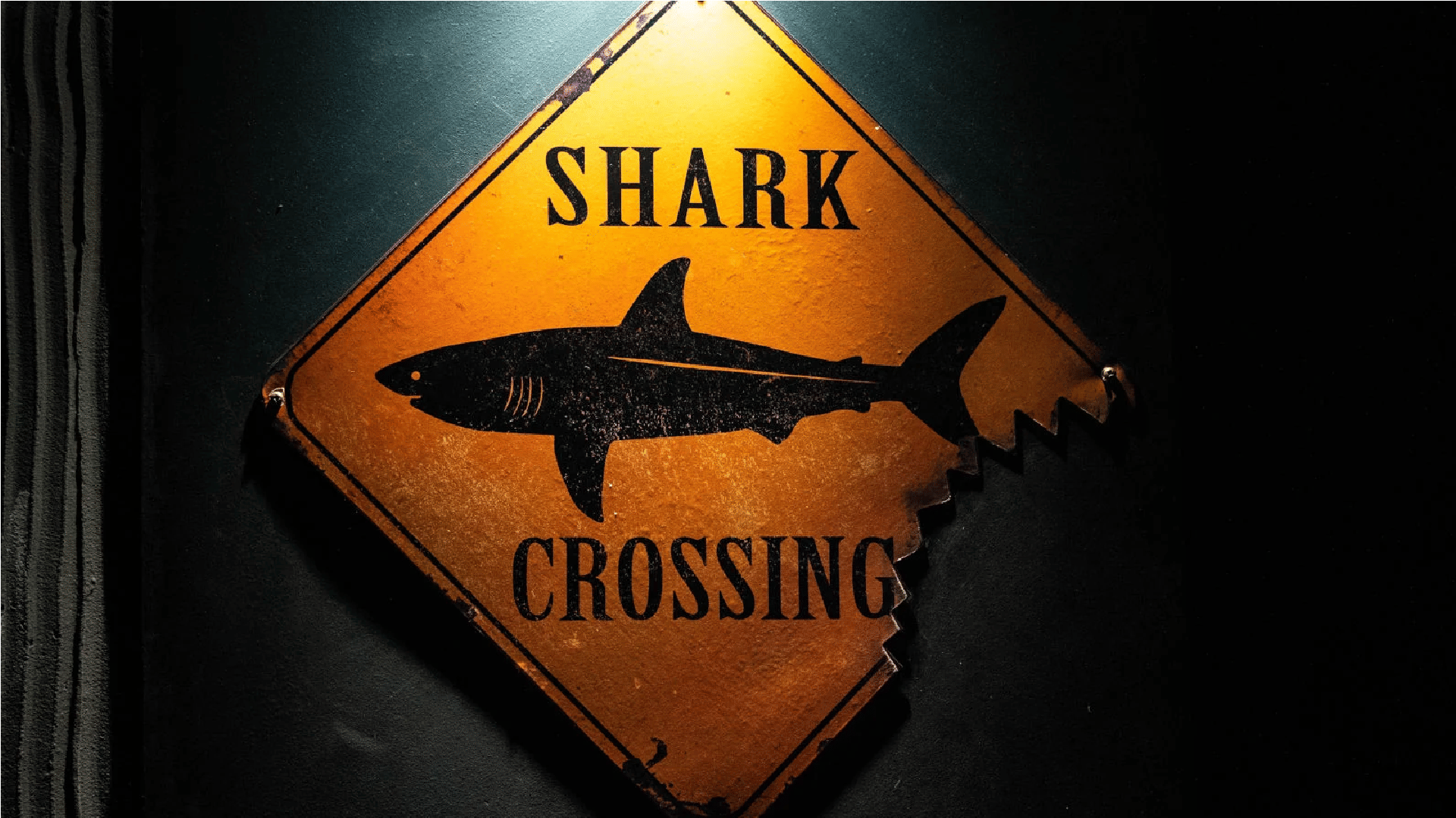 SharkBot