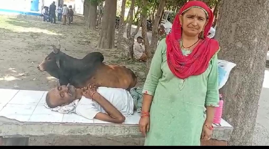 Hospital did not take admission, TB patient kept wandering