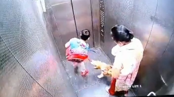 dog bites child in lift in ghaziabad