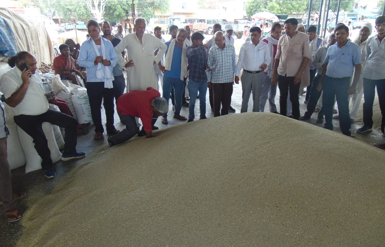 Government procurement of millet is not happening, farmers are selling it at throwaway prices