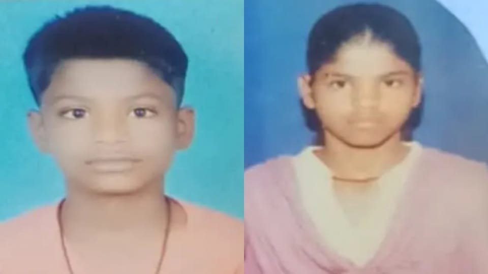 Brother and Sister died due to snake bite in bundi