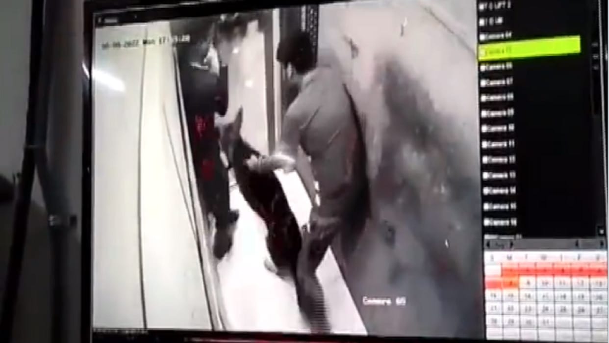 Dog bites delivery boy in Noida Residencial Society probe on