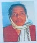 Woman killed in accident, brother injured