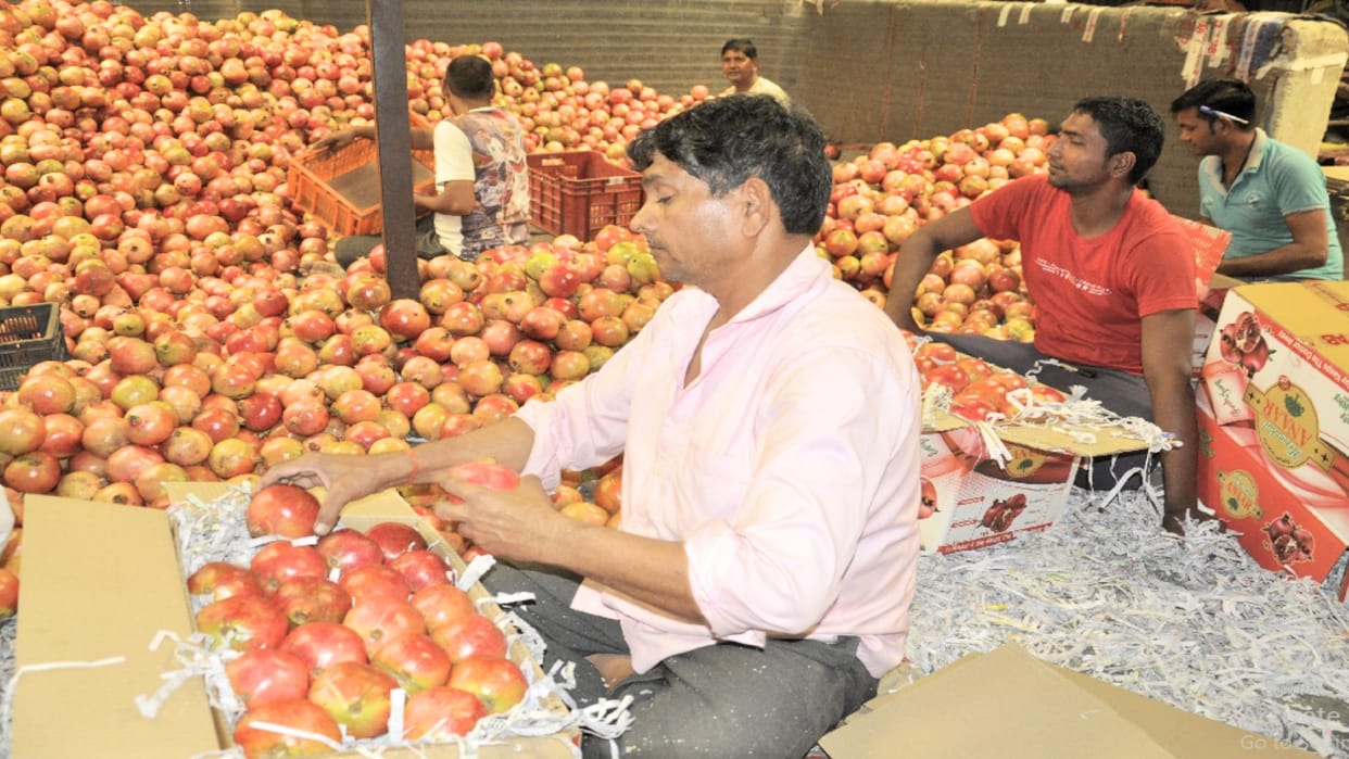 Pomegranate prices took a big jump, sold for Rs 75 a kg