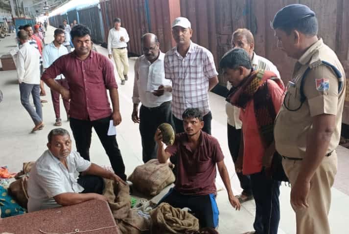 520 turtles caught