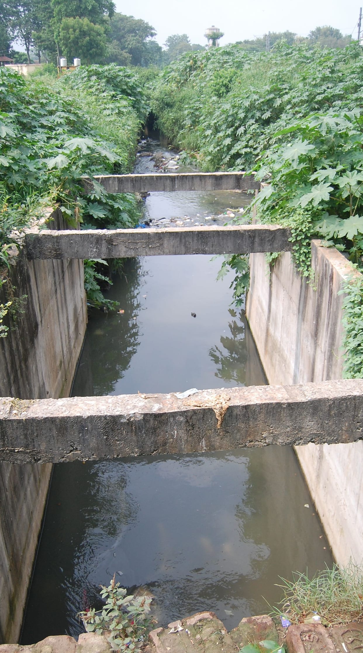 drains flow in rivers