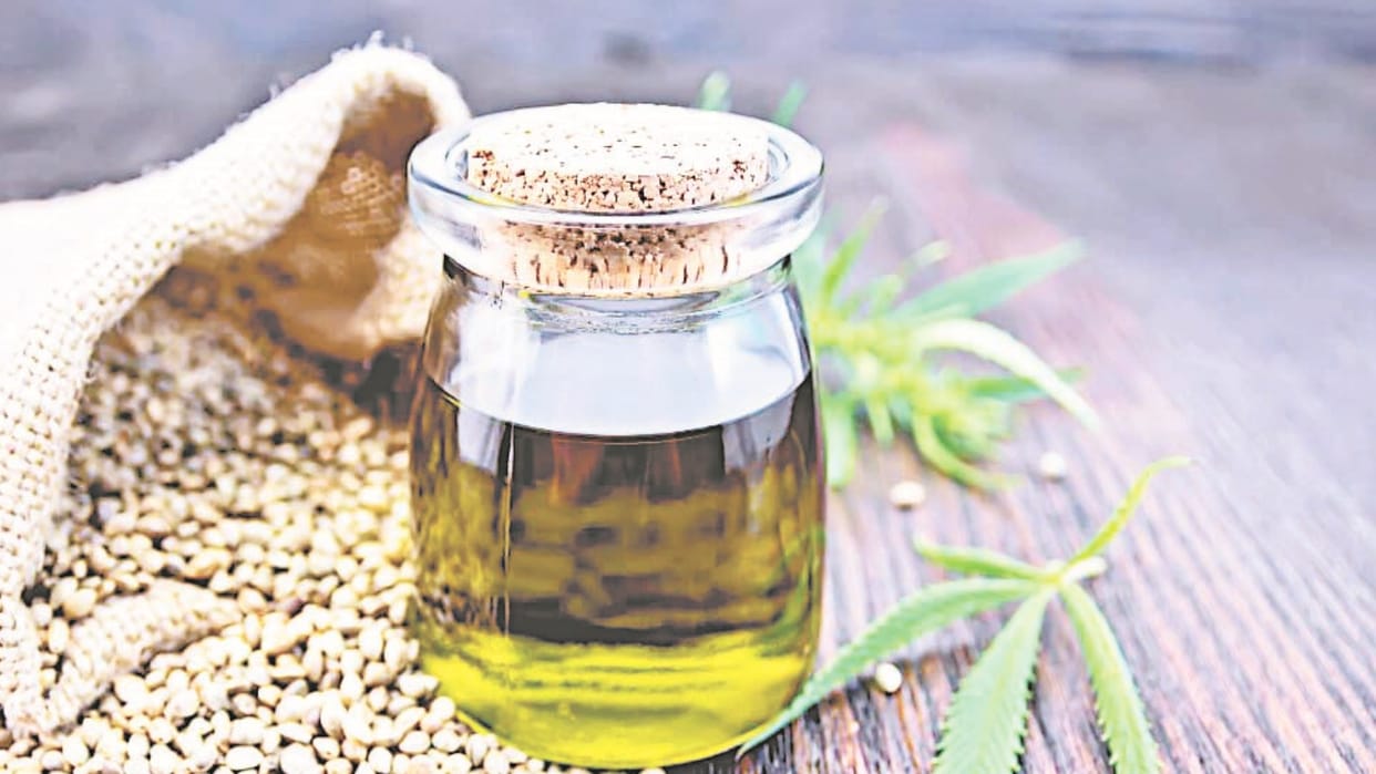 bhang Cannabis oil will reduce the side effects of Alzheimer's medicine