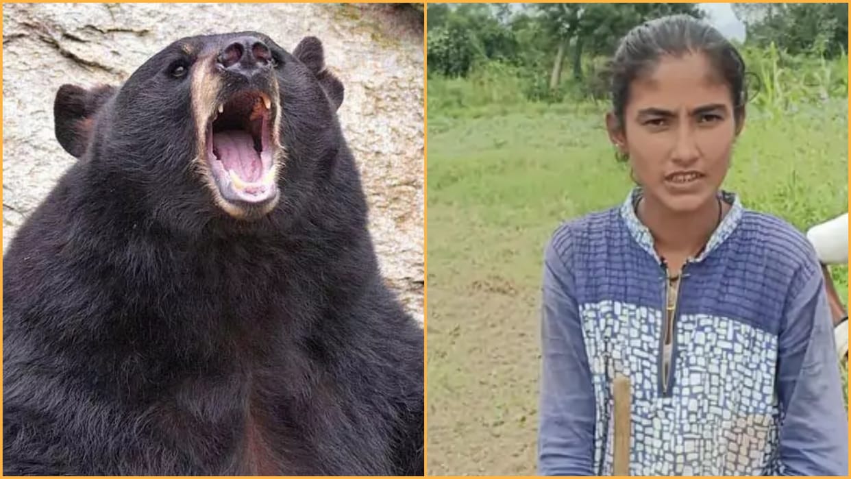 14 year old daughter fight with bear to save father in Sirohi