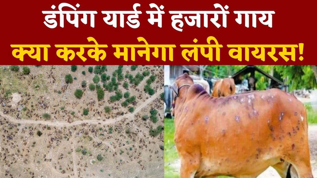 लंपी वायरस