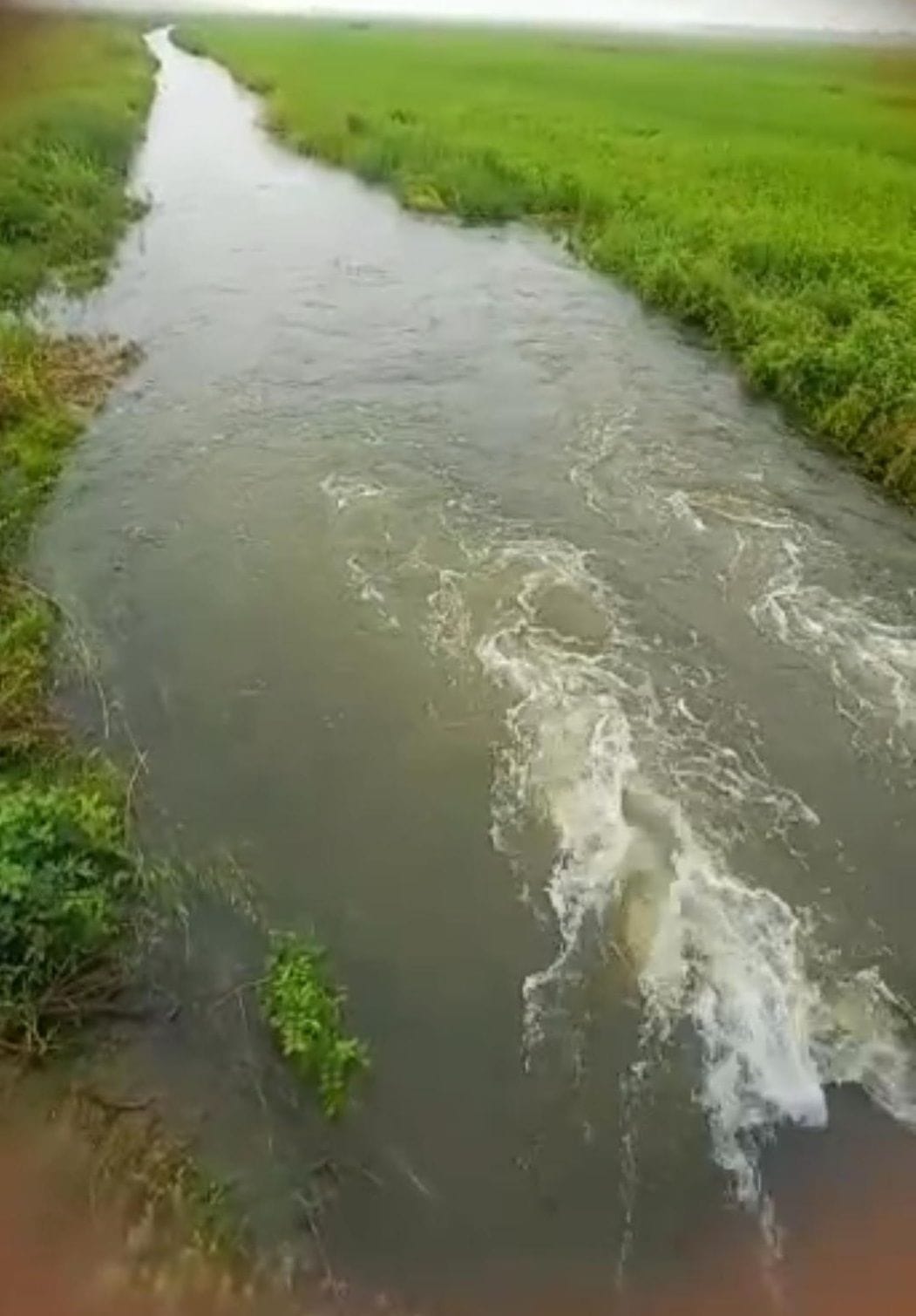 Chaotic elements broke the regulator gate of the dam